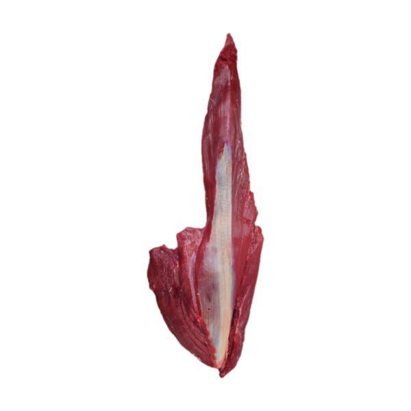 Tenderloin